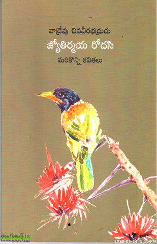 Jyotirmaya Rodasi