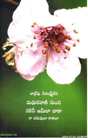 Madhuravani Nunchi Nalini Jameela Daaka