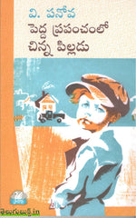 Pedda Prapanchamlo Chinna Pilladu