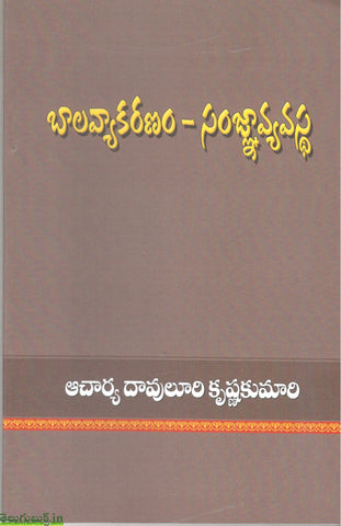 Baalavyakaranam Sanjnavyavastha