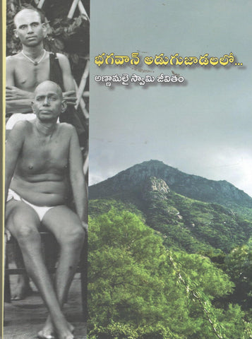 Bhagavan Adugujaadalalo-Annamalai Swamy Jeevitam