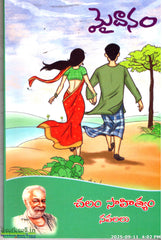 Maidanam-Chalam sahityam Navalalu