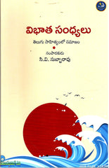 Vibhatha Sandhyalu-Telugu Sahityamlo Samajam