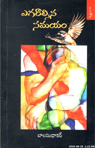 Yegaraalsina Samayam