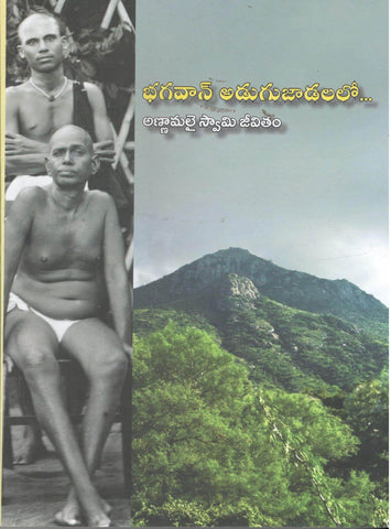 Bhagawan Adgujadalalo-Annamalai swami Jeevitham
